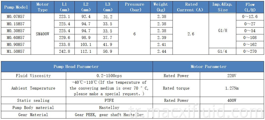 Tel Loy Anticoorrosion 220V Servo Motor Mikro Manyetik Tahrik Doz Dişli Pompası M0.90H57SM400W